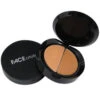 FACE Atelier Ultra Camouflage Duet - Light 1 FACE Atelier Ultra Camouflage Duet - Light -Ethereal Beauty FACE atelier Ultra Camouflage Duet Dark new 27398 5940 detail