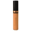 Osmosis MD Professional Flawless Concealer - Sienna -Ethereal Beauty Flawless Concealer Sienna 30070 detail