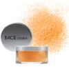 FACE Atelier Ultra Loose Powder - Translucent Pro 1 FACE Atelier Ultra Loose Powder - Translucent Pro -Ethereal Beauty Ultra Loose Powder Blaze Pro 47648 7826 detail